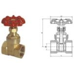 101 Brass gate valves